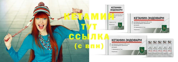 mdpv Богородицк