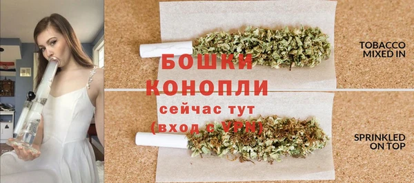 экстази Богданович