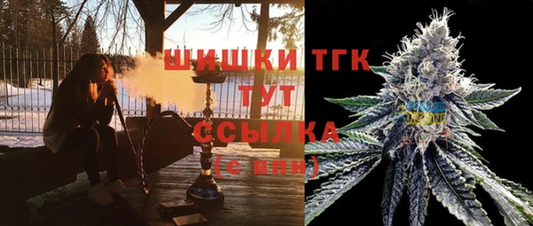 индика Бугульма