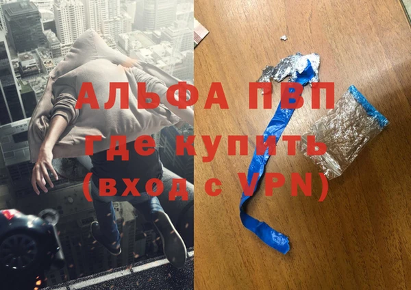 индика Бугульма