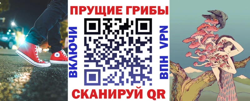 Псилоцибиновые грибы прущие грибы  ОМГ ОМГ как войти  Дигора 