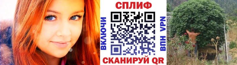 МАРИХУАНА THC 21%  mega как войти  Дигора 